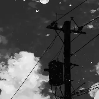 Profile image of 田中樹