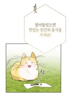 Profile image of 냥이