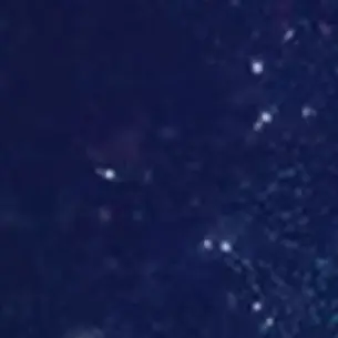 Profile image of 禪院直哉