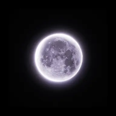 Profile image of 호시루베