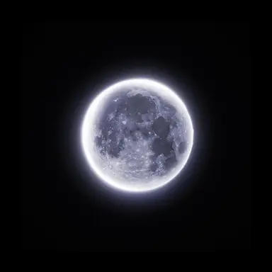 Profile image of 코야나기