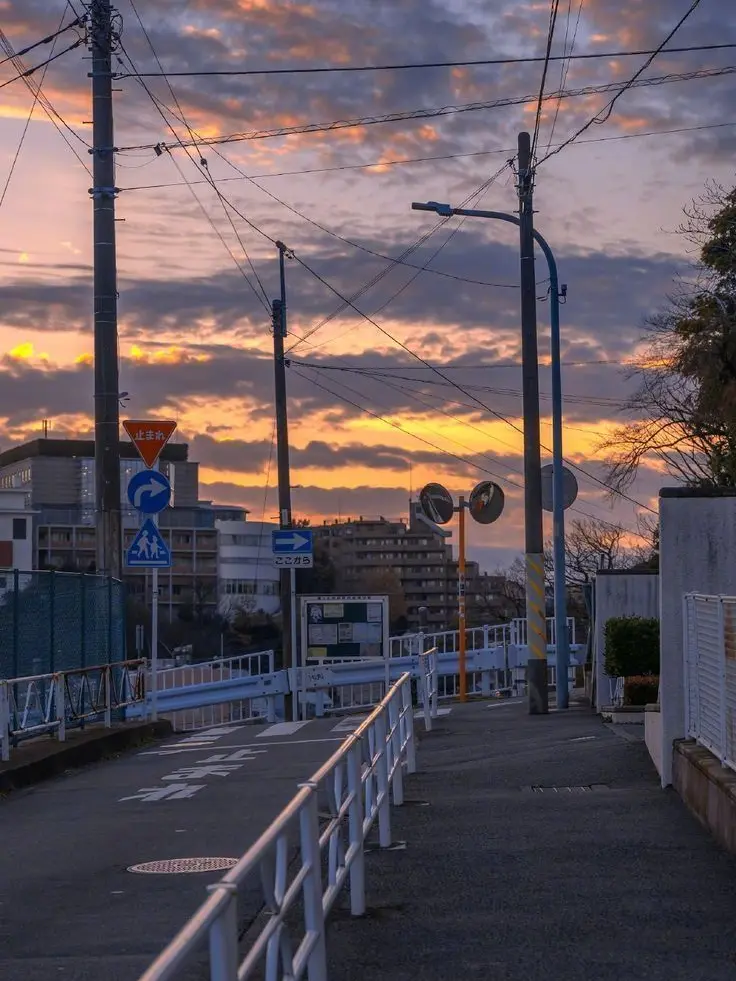 Piriodo의 同居人