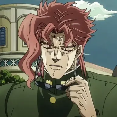 Profile image of 花京院