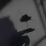 Profile image of 蓮
