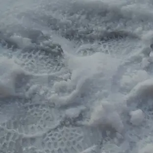 Profile image of ひいな