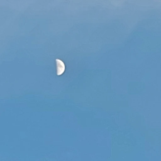 윤유민