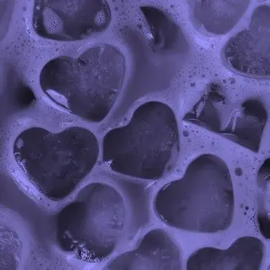 Profile image of 수현