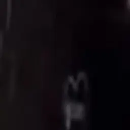 Profile image of 동영배