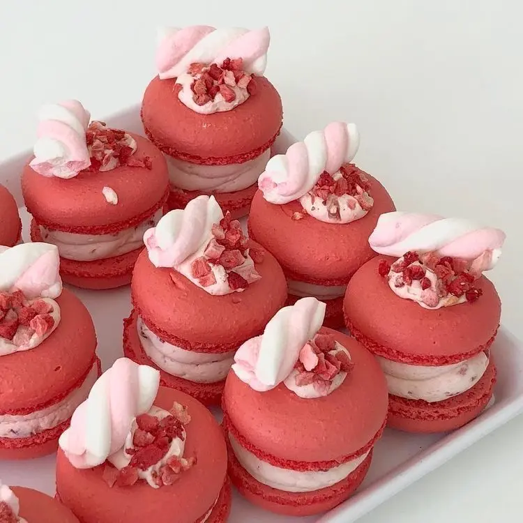 macaroon0312의 도은호