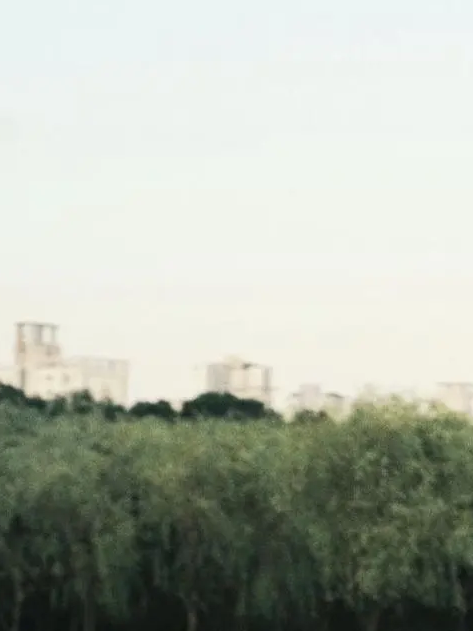 식빵고등학교 대표 이미지