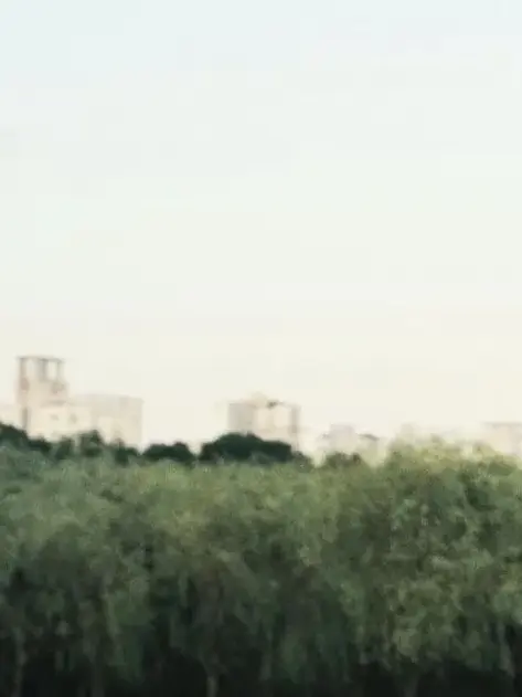 RoastFlag8881의 식빵고등학교