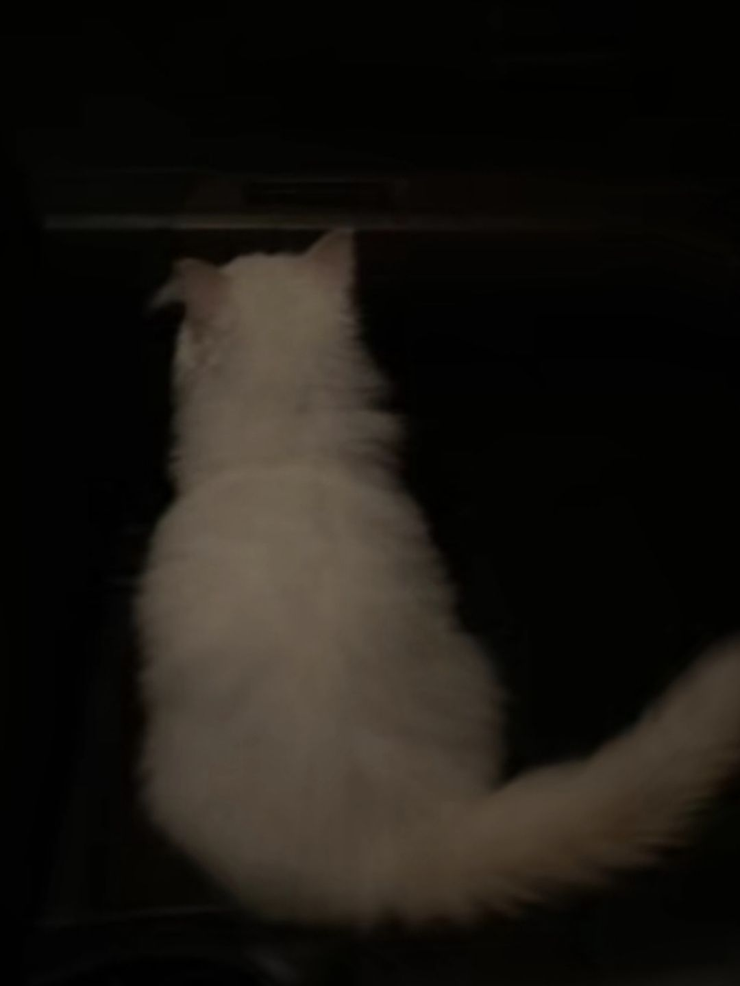 고경준 대표 이미지
