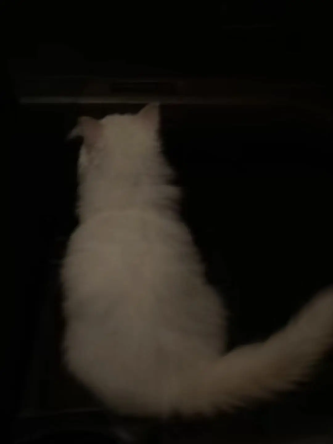 SoftPurse0572의 고경준