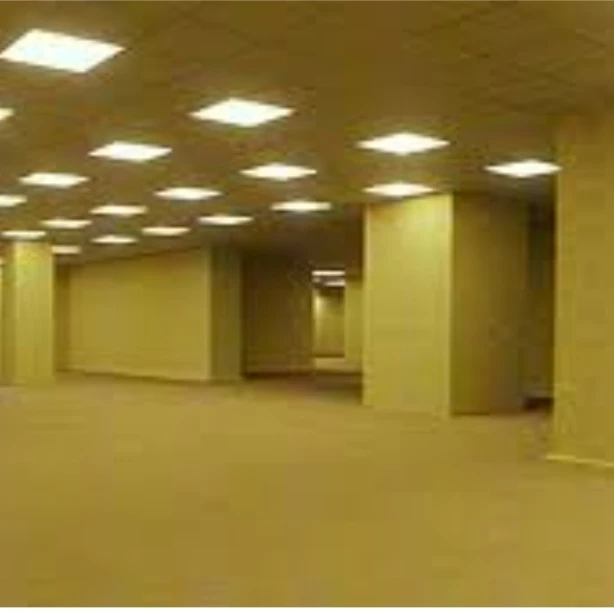The Backrooms