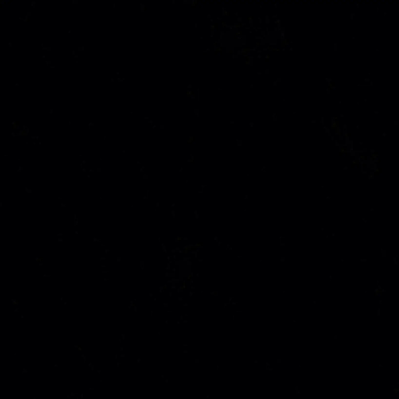 kokokopamm의 건롱