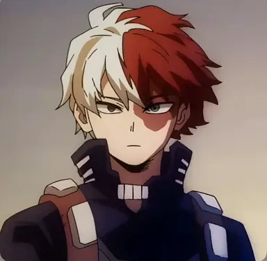 Profile image of Shoto Todoroki