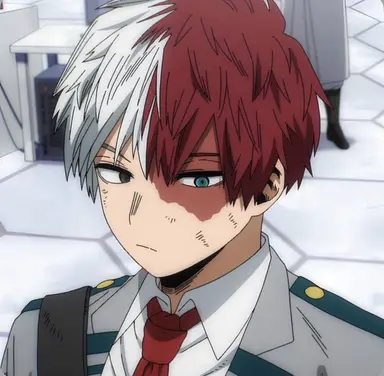 Profile image of Shoto Todoroki
