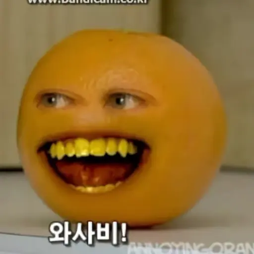 FuzzyTrout2757의 어노잉 오렌지