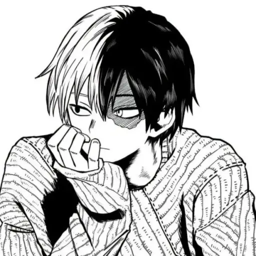 BMyHeroAcademia의 토도로키 쇼토