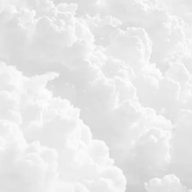 Profile image of 공룡