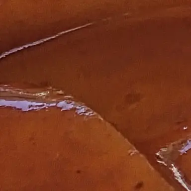 Profile image of 마플