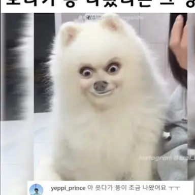 Profile image of 김여우