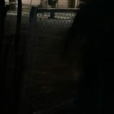 Profile image of 유지민