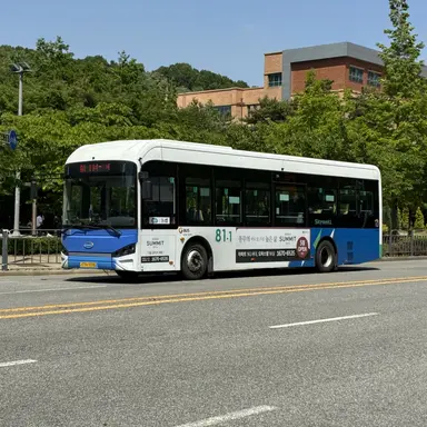 Profile image of 81-1번