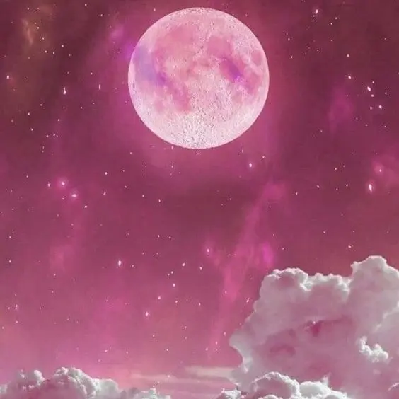 Chohwa의 채밤비