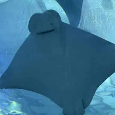 Profile image of 父