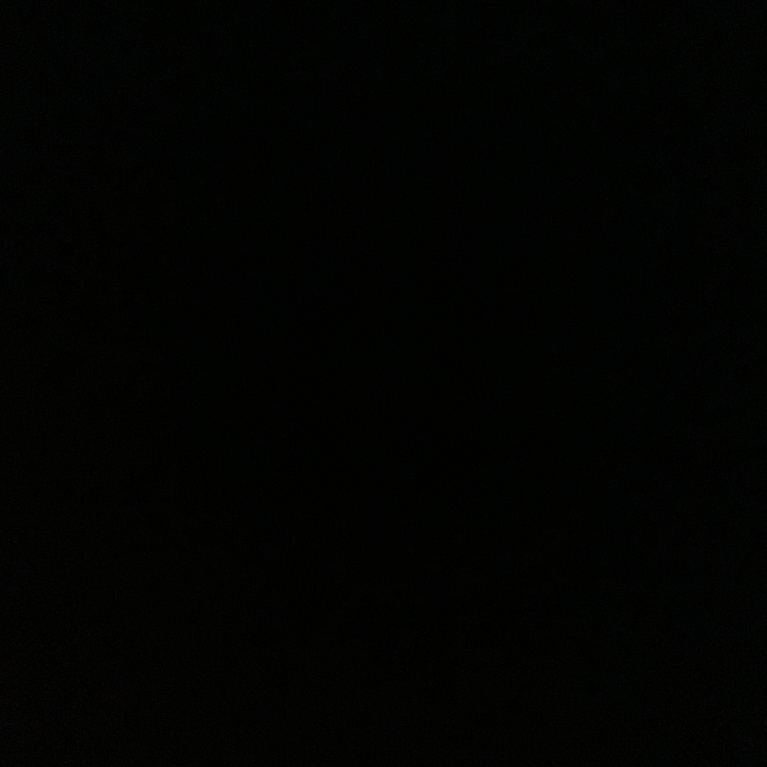 한지성 대표 이미지