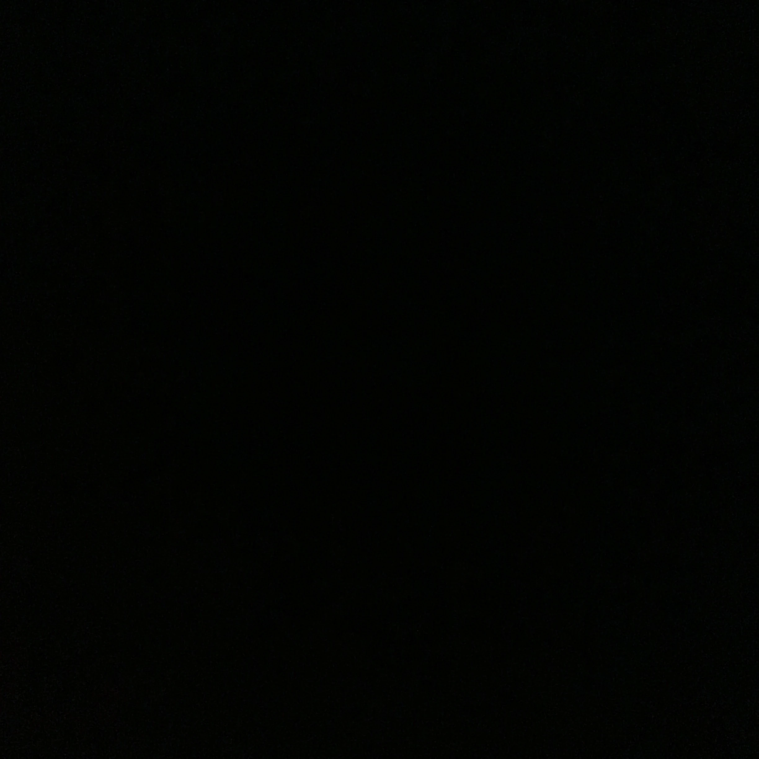한지성