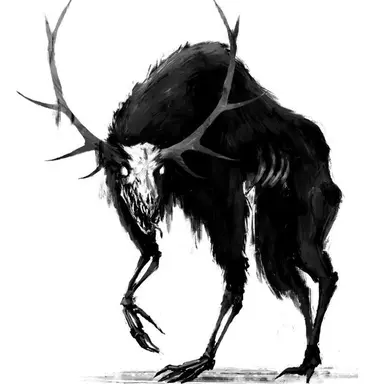 Profile image of 쟝