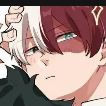 Profile image of Shoto Todoroki