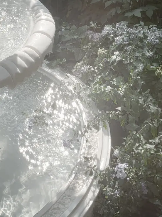 WearyRupee1942의 無題