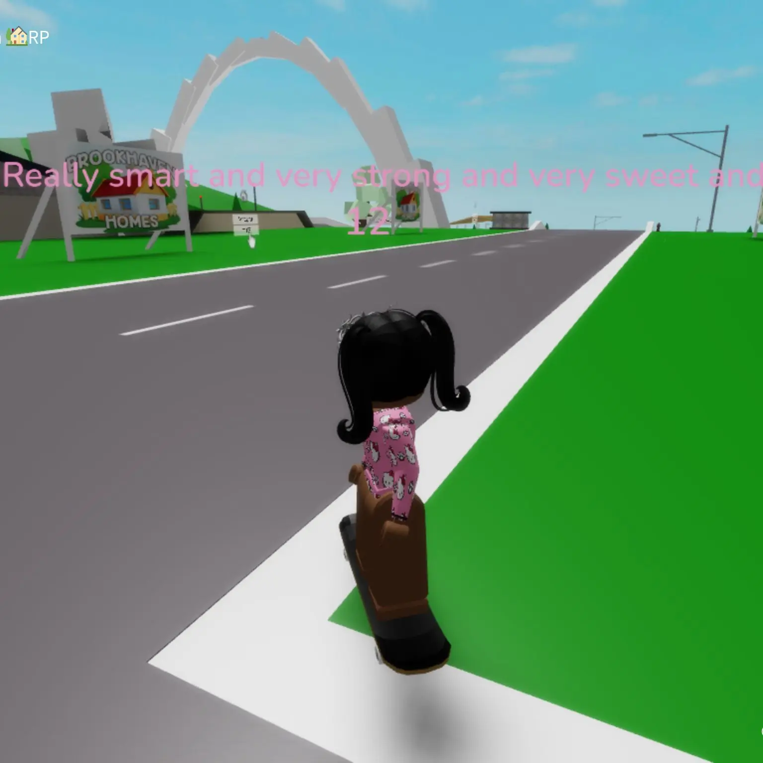 Journii의 Scary Brookhaven story