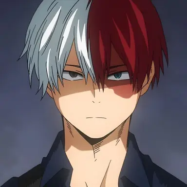 Profile image of Shoto Todoroki