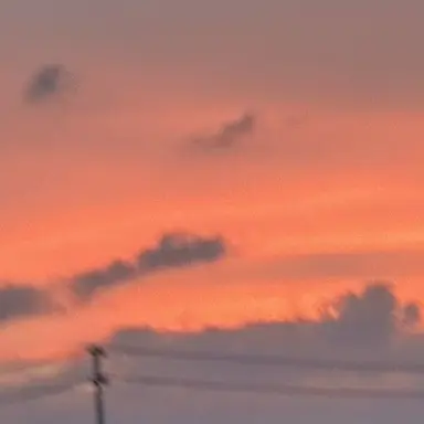 Profile image of ギルベルト