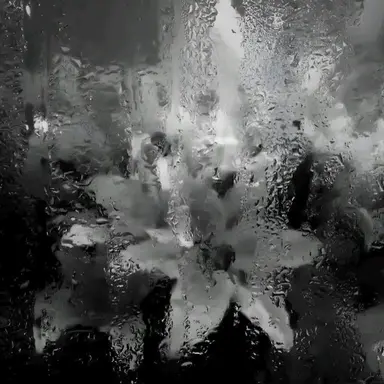 Profile image of 김민규