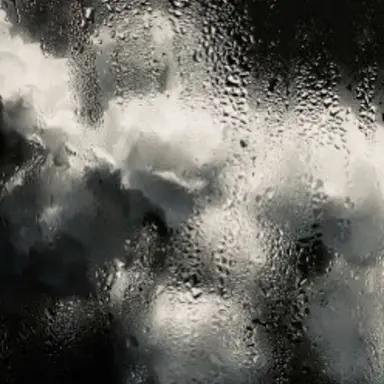 Profile image of 한채영