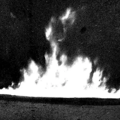 Profile image of 카이리온