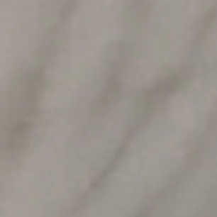 Profile image of 라더