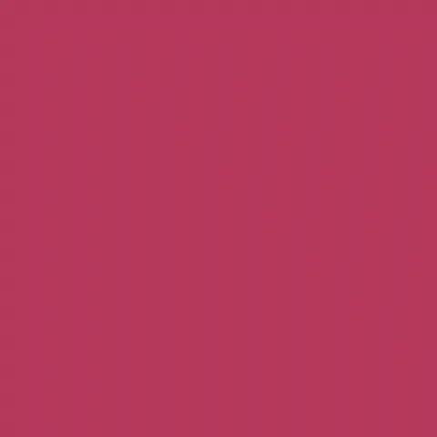 strawberry1225의 先輩