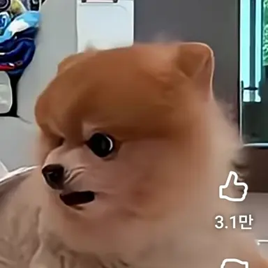 Profile image of 치킨 너갯