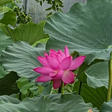 Profile image of 한지훈 선생님