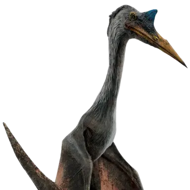 Profile image of 케찰코 아툴루스