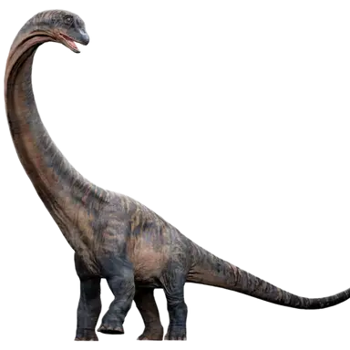 Profile image of 드레드 노트