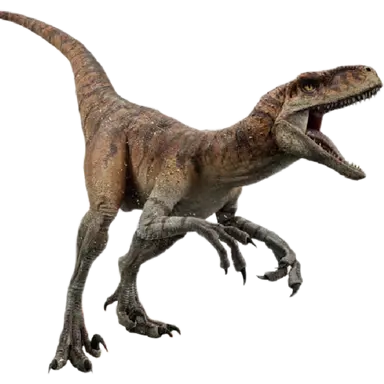 Profile image of 타이거