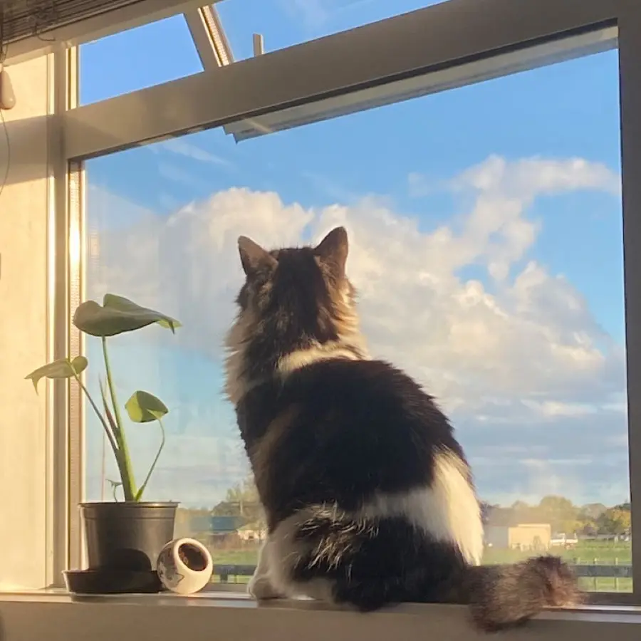 k_bmjjjo.의 &T YM SN