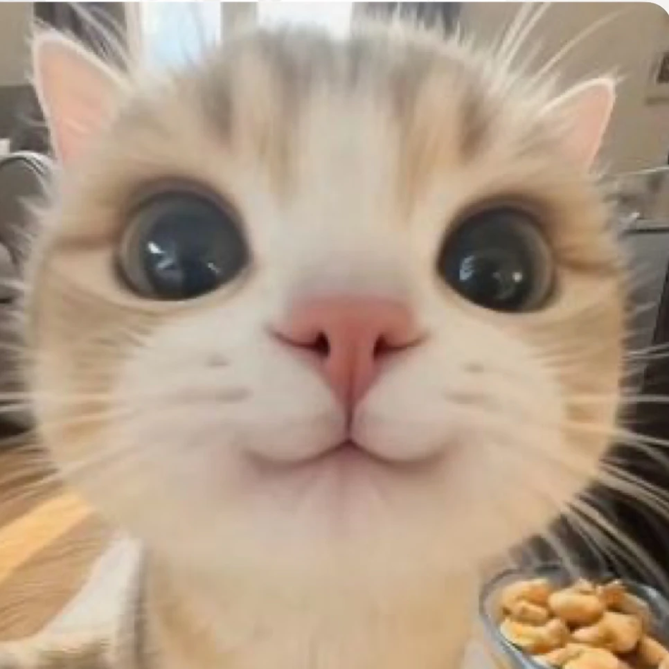 먀오